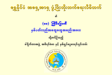 ၂၀၁၇ ခုနှစ် (၁၁) ကြိမ်မြောက် နှစ်ပတ်လည် အထွေထွေအစည်းအဝေး